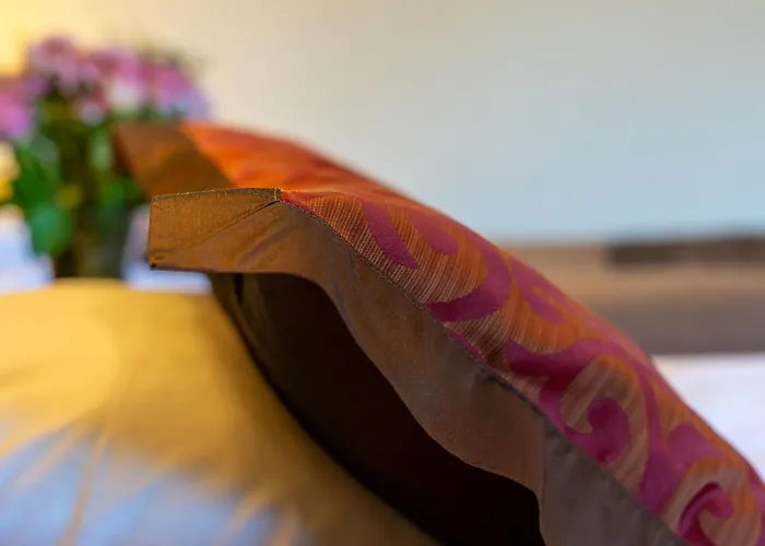 فندق Astor فآسا